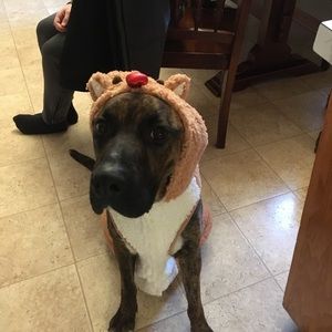 Meet your Posher, Kirsten